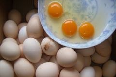 笨雞蛋怎么保存時(shí)間長？土雞蛋怎么保存時(shí)間長？[圖]