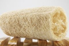 絲瓜絡(luò)有哪些食用方法？絲瓜絡(luò)的功效作用有哪些？[圖]