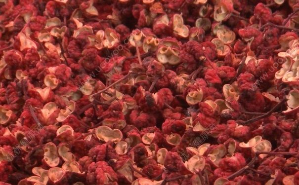 花椒有什么功效？花椒的功效與作用又有哪些呢？(1)
