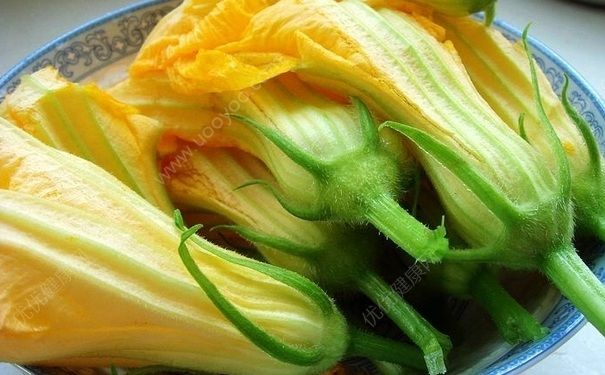 南瓜花能吃嗎？南瓜花怎么吃？(1)