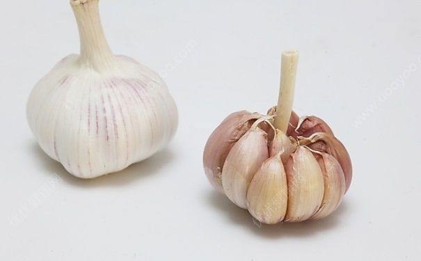 大蒜外用有什么好處？大蒜外用有什么功效？(1)