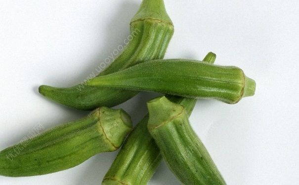 秋葵是什么季節(jié)的蔬菜？吃秋葵的季節(jié)是什么時候？(1)