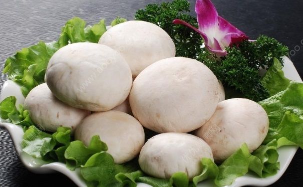 雙孢菇有什么營(yíng)養(yǎng)價(jià)值？吃雙孢菇有什么好處？(1)