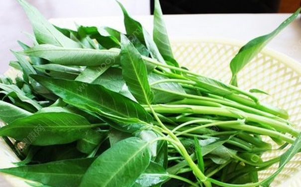 空心菜不能和什么一起吃？空心菜和什么相克？(1)