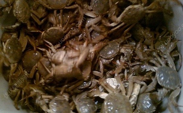 蟹黃致癌嗎？吃蟹黃會(huì)導(dǎo)致癌癥嗎？(5)