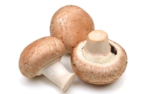 香菇有什么營養(yǎng)價值？香菇的營養(yǎng)價值有哪些？(1)