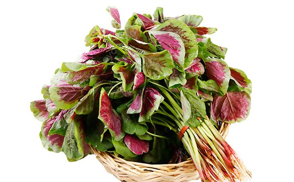 紅莧菜補血嗎？紅莧菜有什么營養(yǎng)？(1)