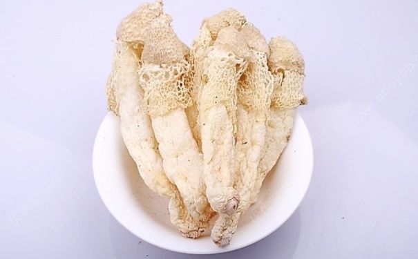 竹蓀吃多了會(huì)怎樣？竹蓀吃多了有什么危害？(1)