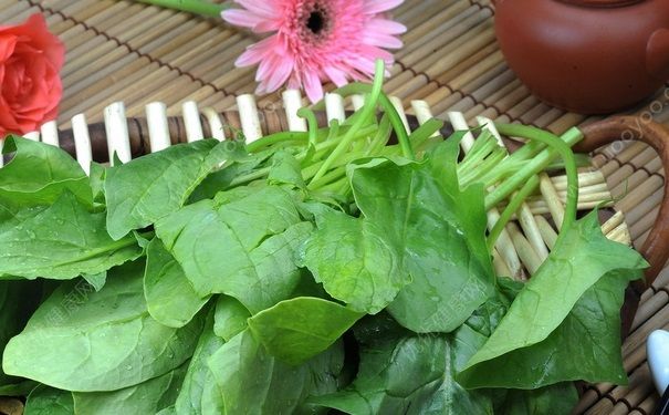 菠菜是酸性還是堿性？菠菜是酸性的嗎？(1)