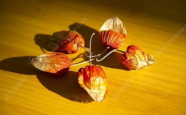 含羞果的功效是什么？含羞果的食用方法是什么？(1)