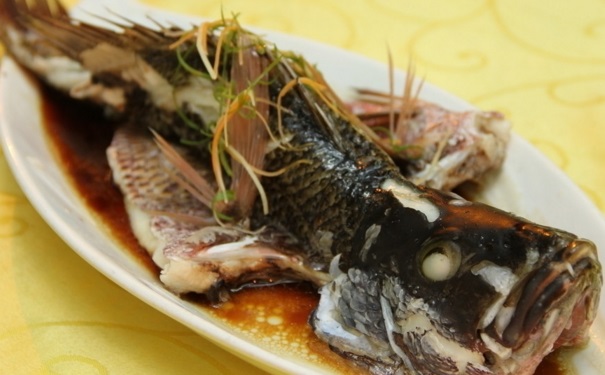 吃石斑魚會中毒嗎？石斑魚有毒嗎？(1)