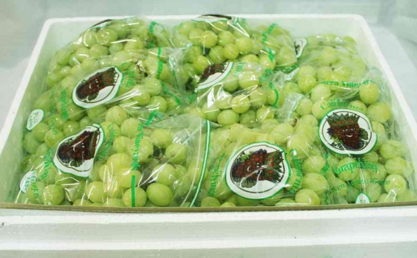 吃提子的好處和壞處？吃提子有什么好處？(1)