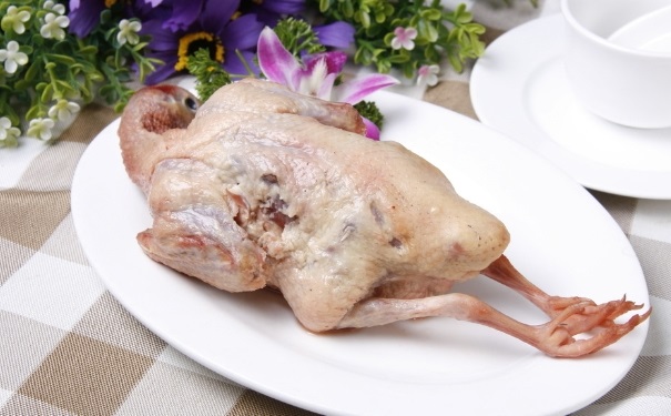 鴿子肉的營養(yǎng)價值有哪些？鴿子肉的營養(yǎng)價值及功效(1)