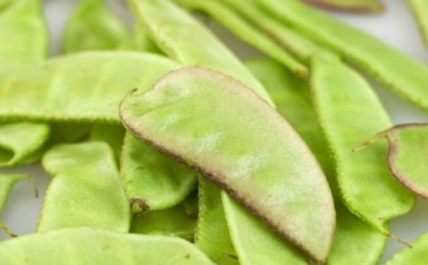 什么蔬菜生吃有毒？哪些蔬菜生吃有毒？(1)