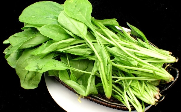 缺鈣能吃菠菜嗎？缺鈣吃菠菜好嗎？(1)