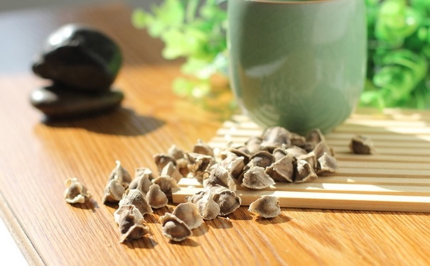 辣木籽是什么東西？辣木籽是什么？(1)