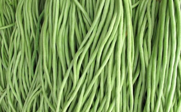 吃豇豆會(huì)回奶嗎？豇豆回奶嗎？(1)