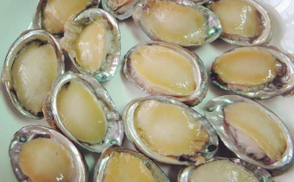 鮑魚生吃可以嗎？鮑魚能生吃嗎？(1)