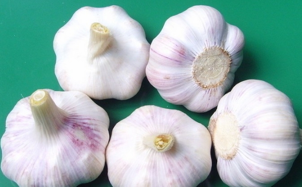 大蒜怎么吃有營養(yǎng)？大蒜怎么吃最好？(1)