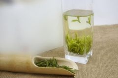 白茶兒童能喝嗎？兒童能喝白茶嗎？[圖]