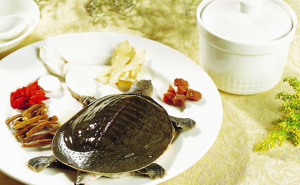 鱉甲有什么功效與作用？鱉甲的食用方法有哪些？(1)