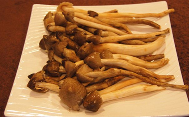 荔枝菌有什么功效？荔枝菌的功效？(1)