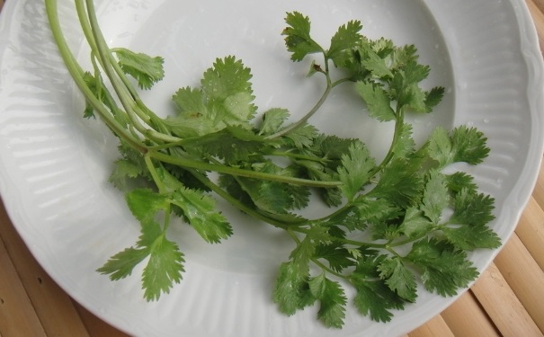 吃香菜的好處有哪些？吃香菜的好處和壞處？(1)