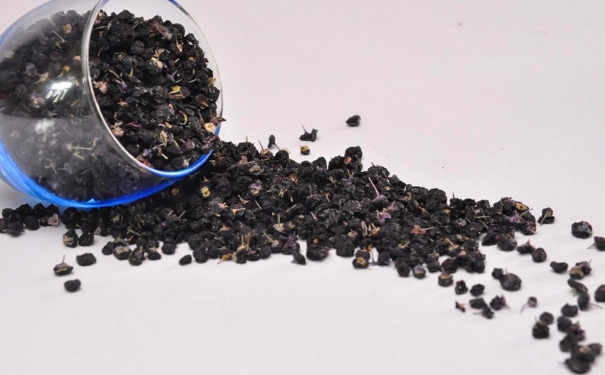 黑枸杞有什么好處？黑枸杞有什么功效與作用？(1)