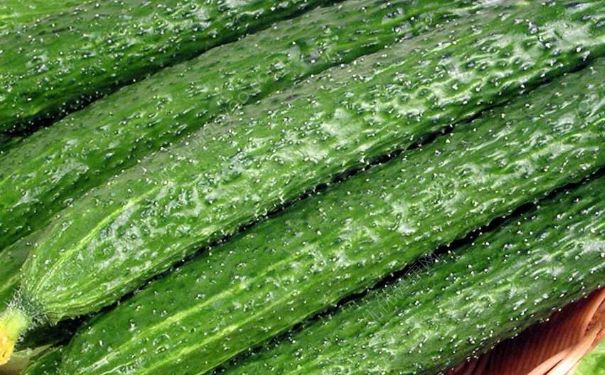 吃了不會(huì)發(fā)胖的食物有哪些？吃什么才不會(huì)胖？(1)