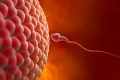 男人的精液質(zhì)量由什么決定？男人精子質(zhì)量不穩(wěn)定怎么回事？[圖]