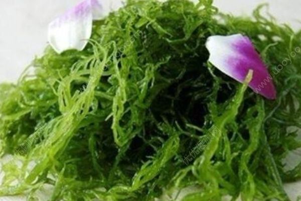 火殿龍須有哪些功效？吃火殿龍須要注意些什么？(1)