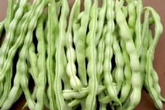 豇豆和豆角的區(qū)別是什么？豇豆是豆角嗎？[圖]