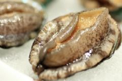 鮑魚吃了上火嗎？鮑魚會上火嗎？[圖]