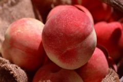 吃桃子有什么好處？桃子的營(yíng)養(yǎng)價(jià)值及食用禁忌[圖]