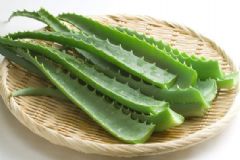 蘆薈的妙用有哪些？蘆薈的美容方法有哪些？[圖]