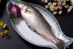 鱸魚的營養(yǎng)價值有多高？鱸魚有什么功效？[圖]