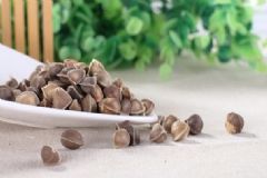 辣木籽什么時候吃最好？辣木籽什么時間吃最好？[圖]