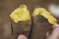 女人預防卵巢早衰吃什么食物好？哪些食物預防卵巢早衰吃？[圖]
