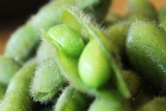 沒煮熟的毛豆能吃嗎？毛豆沒煮熟有毒嗎？[圖]