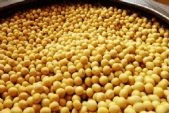 女性吃哪些食物抗衰老？女性有什么方法可以抗衰老？[圖]