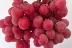 紅提子的籽能吃嗎？紅提籽可以吃嗎？[圖]