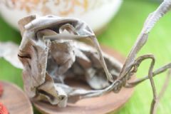 卡琪花蒂瑪?shù)墓π?卡琪花蒂瑪真的有效嗎？[圖]