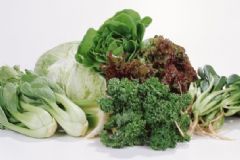 綠葉蔬菜有哪些好處？綠葉蔬菜的12個健康好處[圖]
