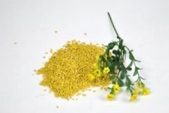 蜂花粉有什么副作用？蜂花粉的副作用[圖]
