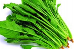 減肥吃哪些食物最好？幫助減肥的食物有哪些？[圖]