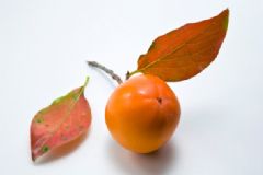 柿子有什么營(yíng)養(yǎng)？柿子的營(yíng)養(yǎng)價(jià)值及食用方法[圖]