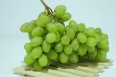 吃提子如何快速剝皮？吃提子怎么剝皮？[圖]