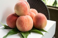 水蜜桃的營養(yǎng)價(jià)值有哪些？水蜜桃有什么營養(yǎng)？[圖]