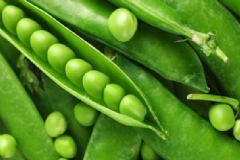 生豌豆有毒嗎？豌豆沒熟會中毒嗎？[圖]