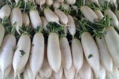 吃白蘿卜會(huì)解藥嗎？白蘿卜解藥嗎？[圖]